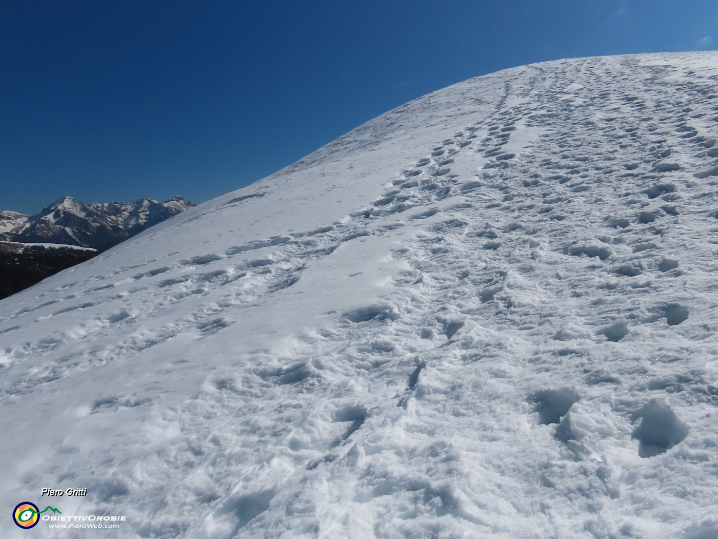 26 Salgo ai dossi panoramici.JPG